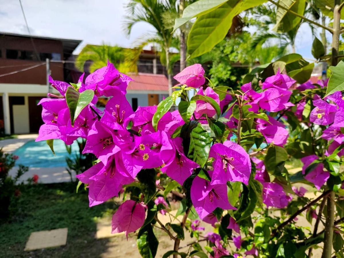 Hotel Catappa ฆาโก ภายนอก รูปภาพ